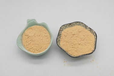 مسحوق البروتين النباتي العضوي Hydrosoluble لمنتجات مشروبات الطاقة